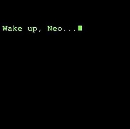 Archillect ID 372792