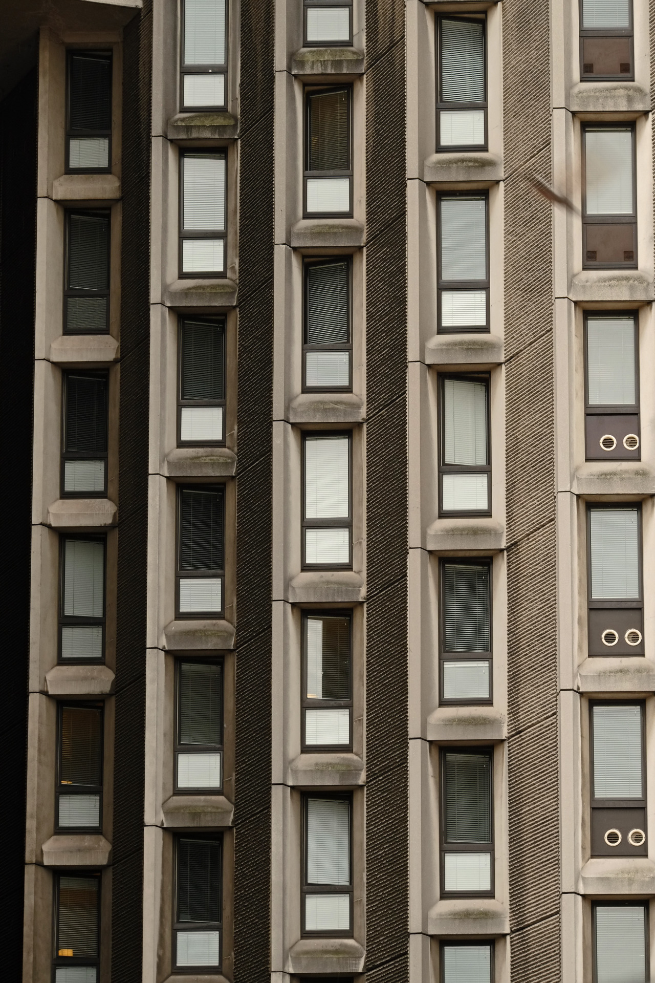 Archillect ID 372834