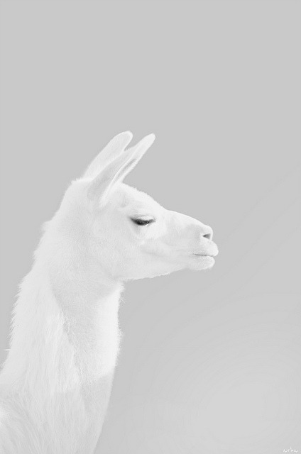 Archillect ID 372844