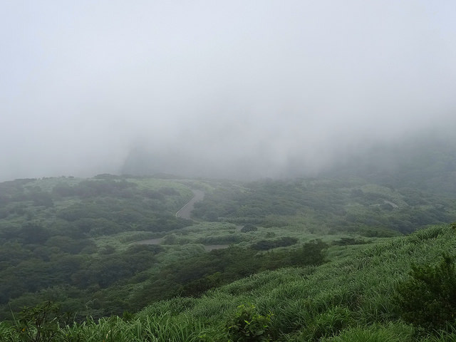 Archillect ID 372852