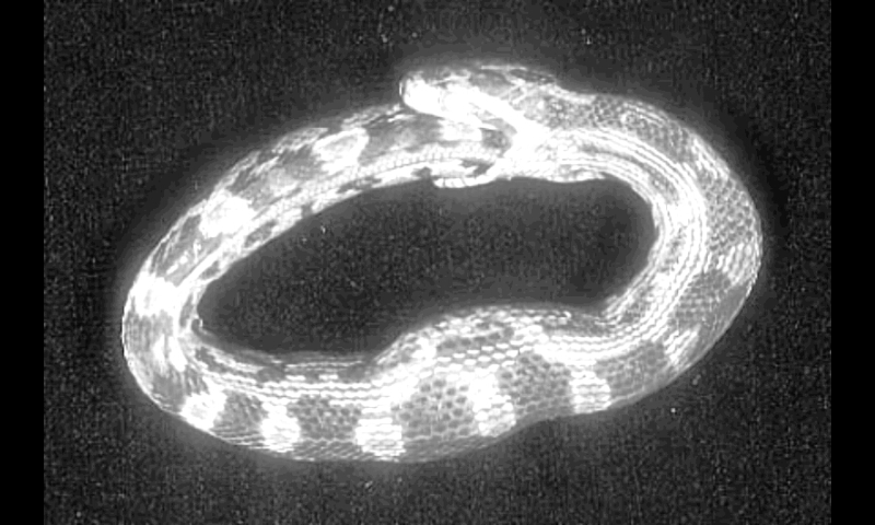 Archillect ID 372892