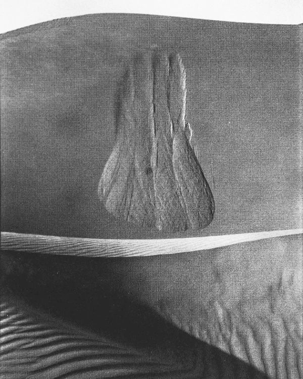 Archillect ID 372902