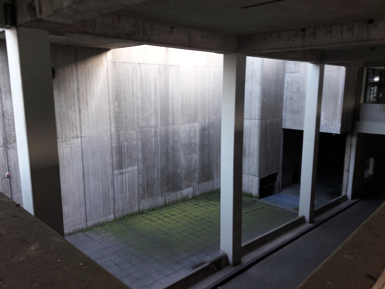 Archillect ID 372929