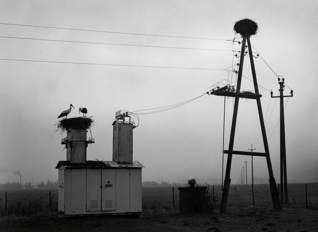 Archillect ID 372933