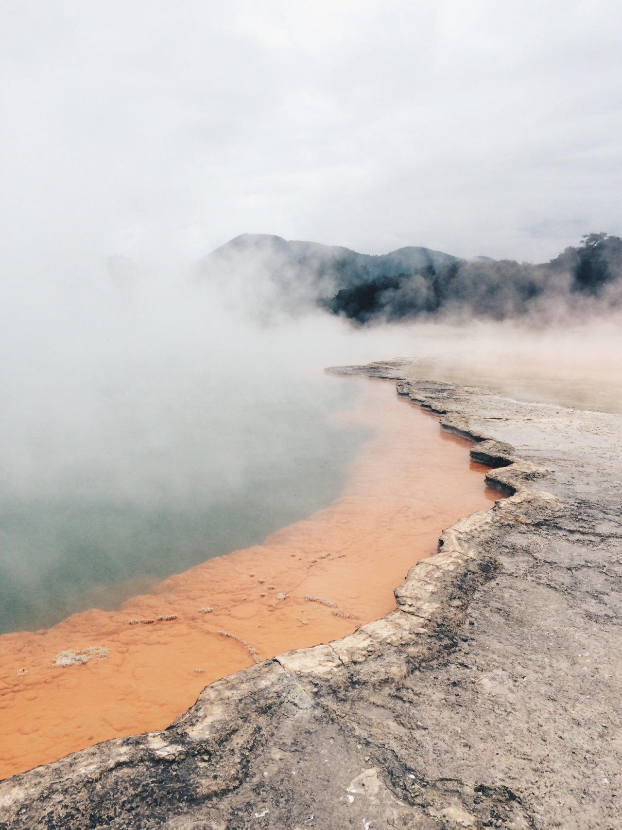 Archillect ID 372943