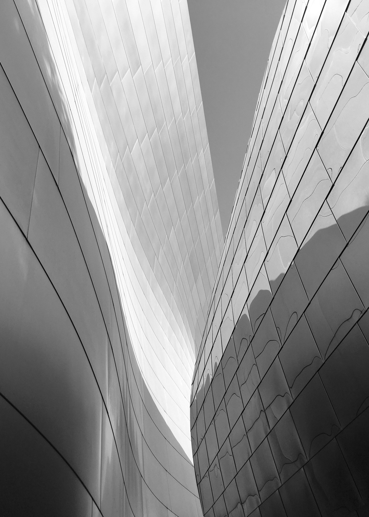 Archillect ID 372944