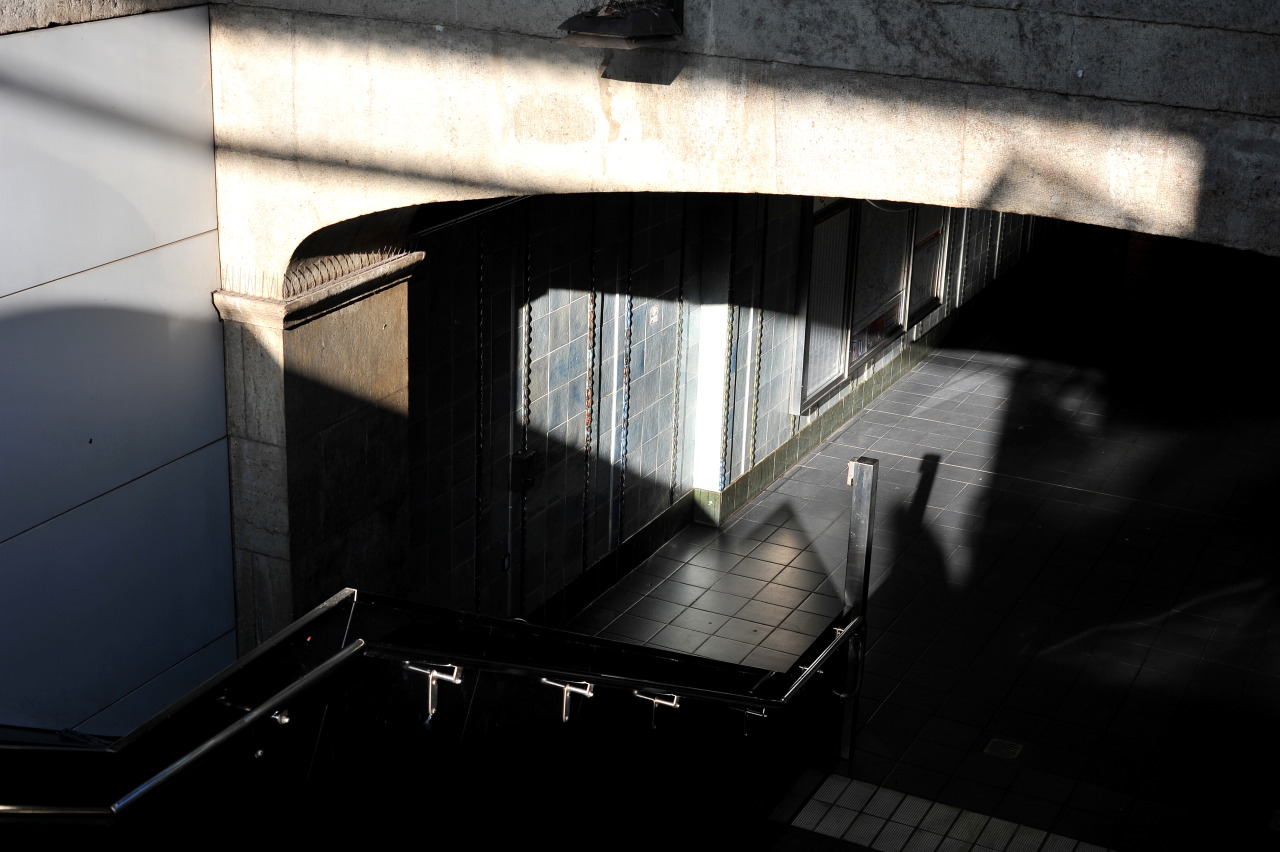 Archillect ID 372954