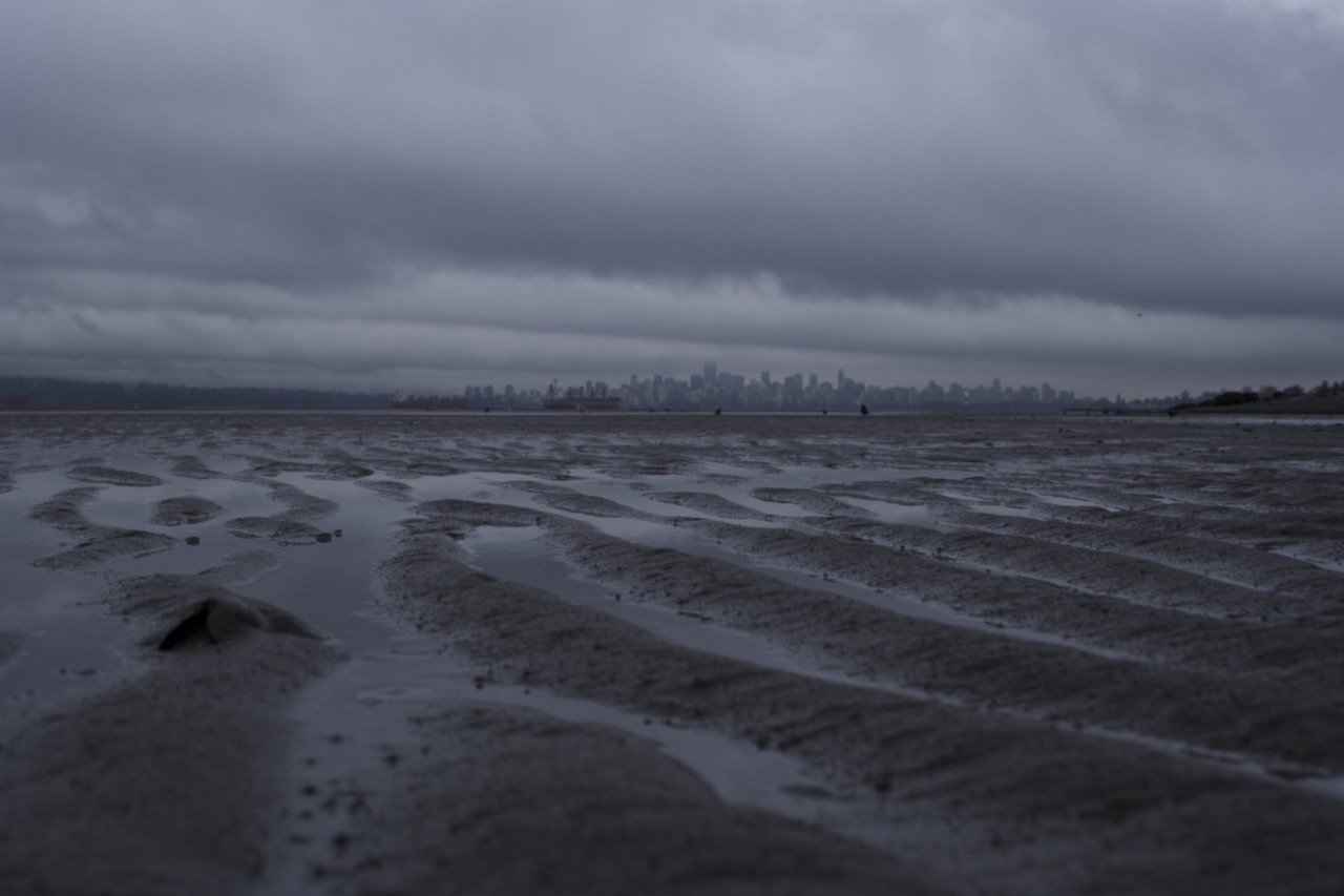 Archillect ID 373084