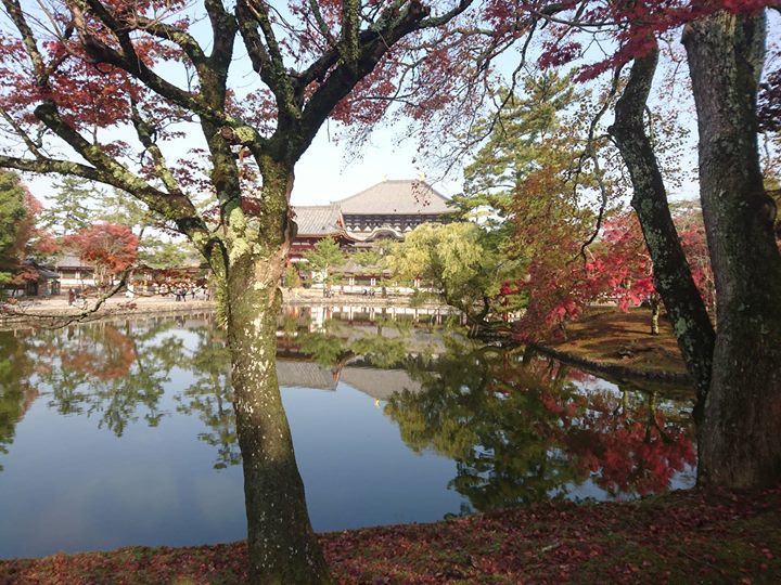 Archillect ID 373094