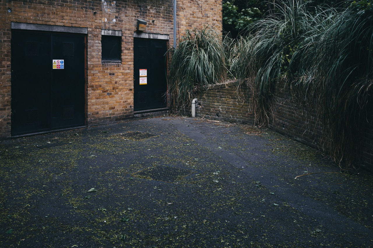 Archillect ID 373155