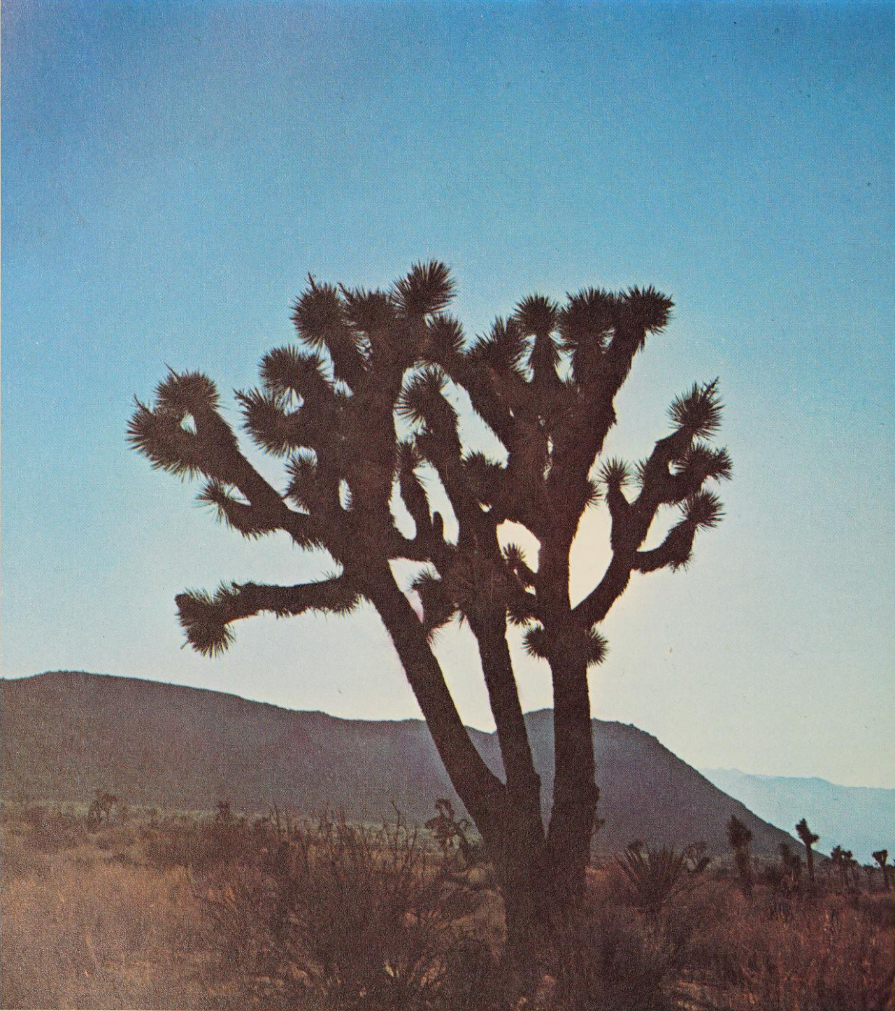 Archillect ID 373189