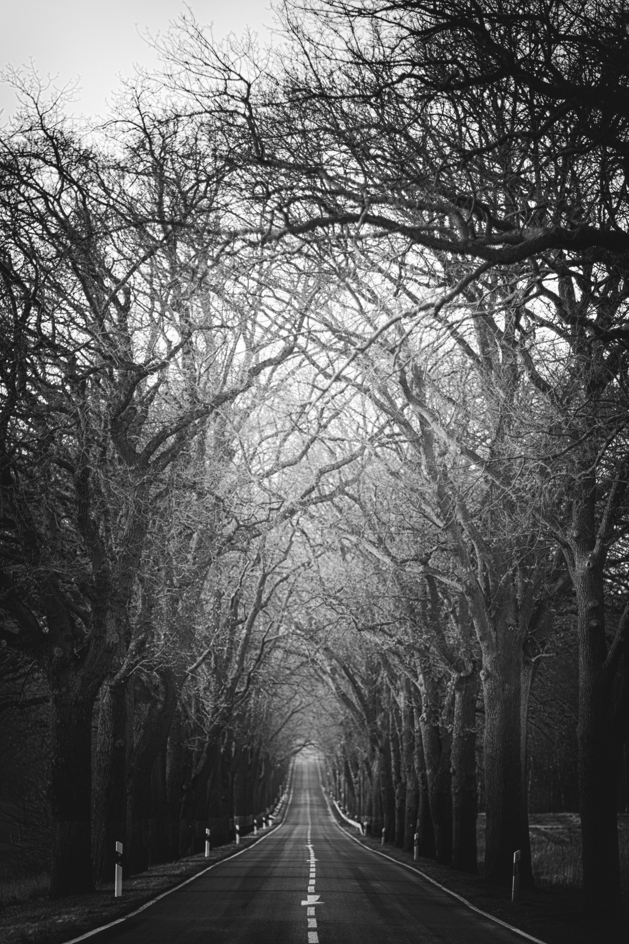 Archillect ID 373202