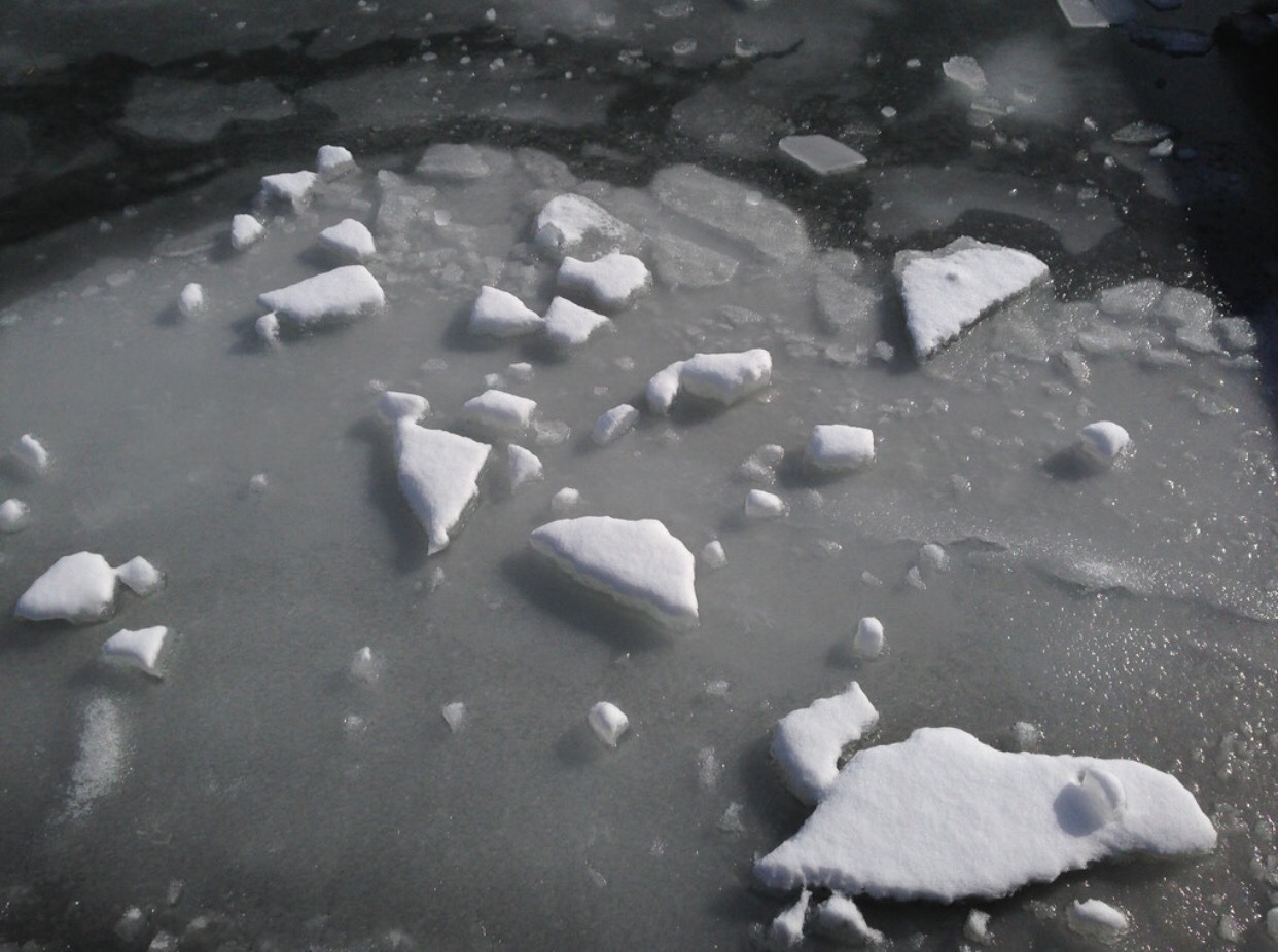 Archillect ID 373250