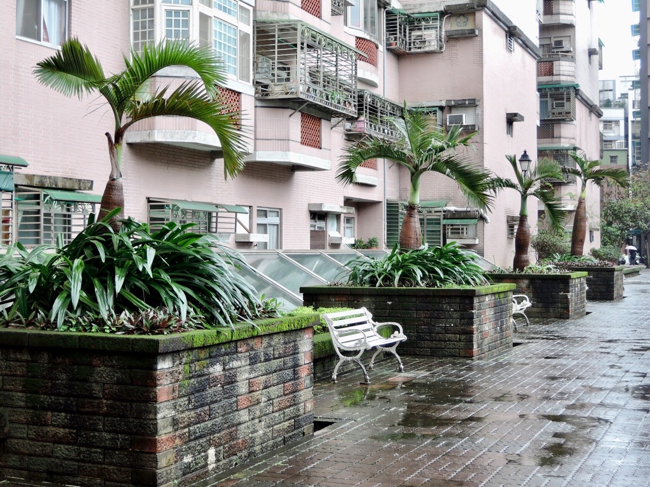 Archillect ID 373262