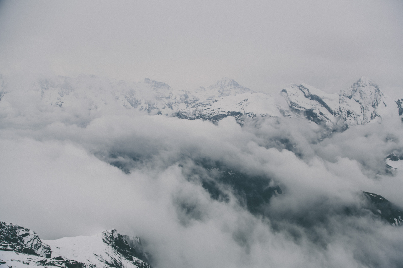 Archillect ID 373266