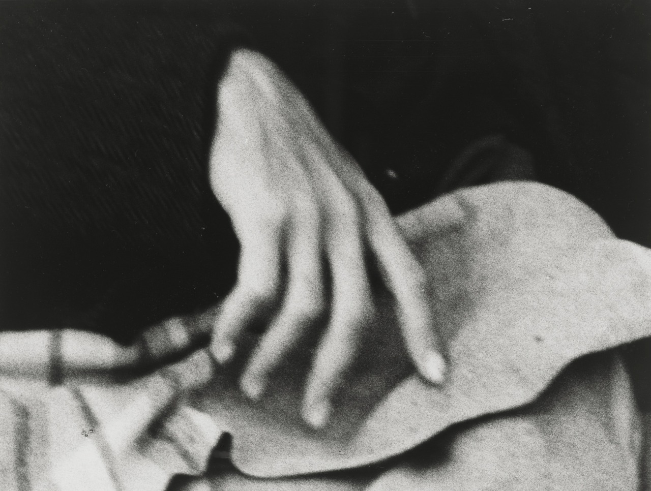 Archillect ID 373299