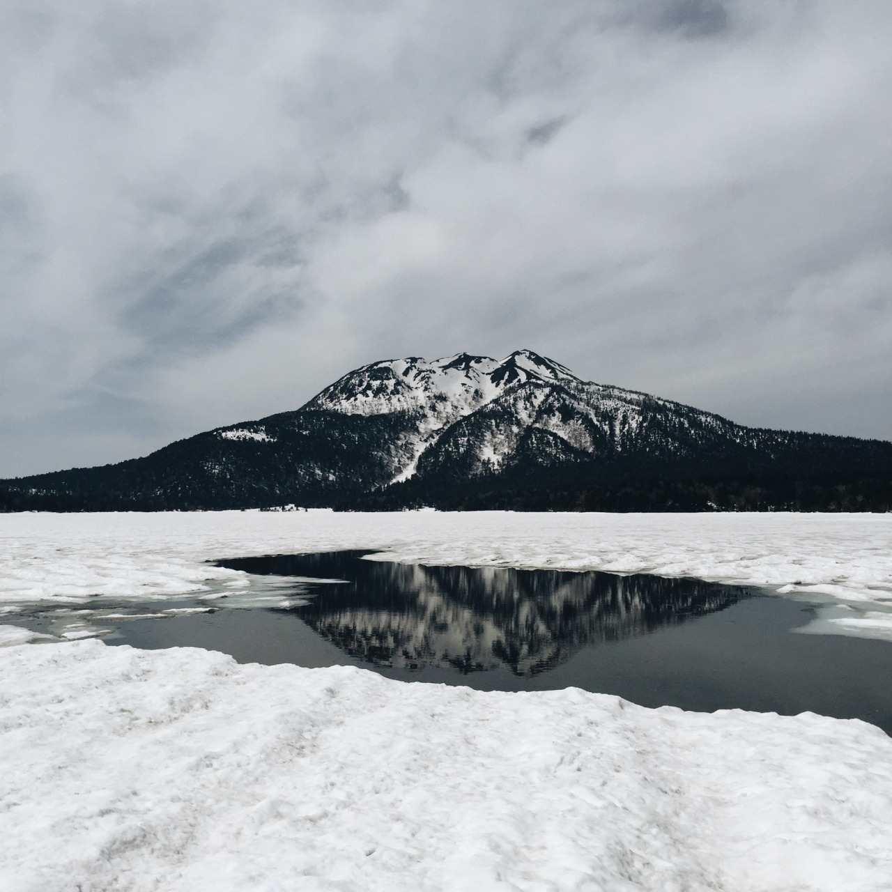 Archillect ID 373305