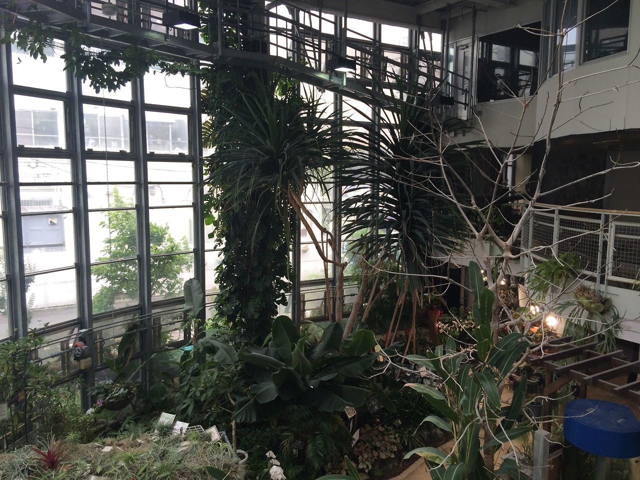 Archillect ID 373306