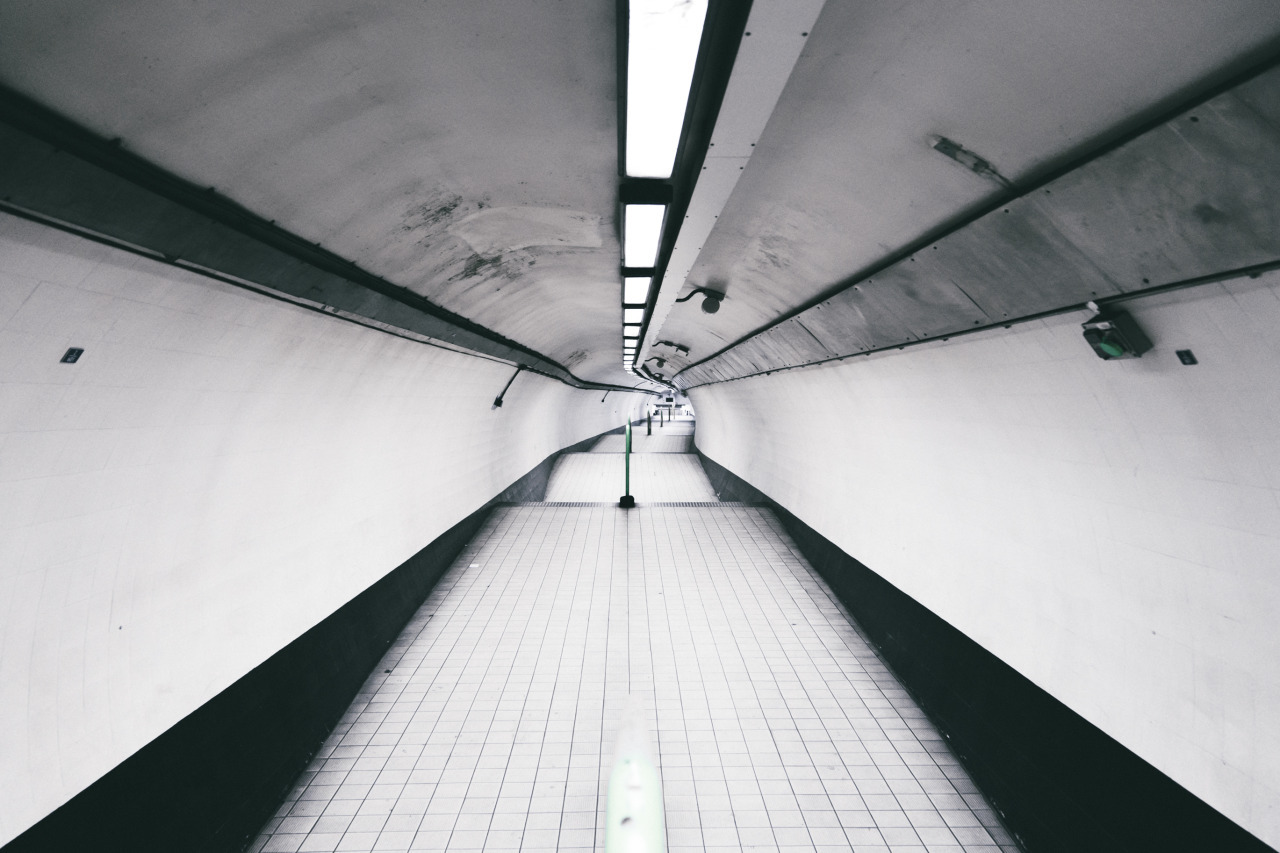 Archillect ID 373347