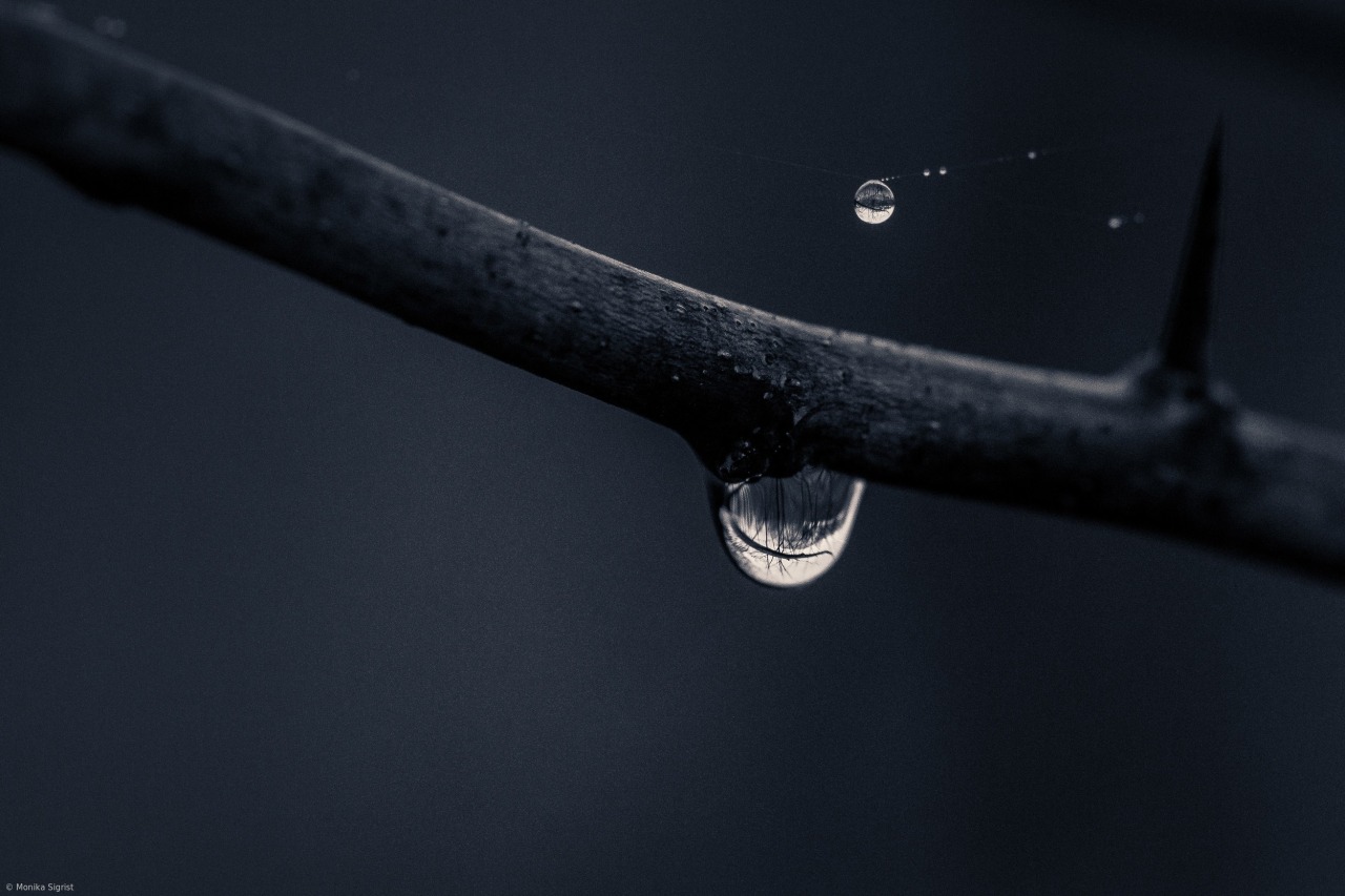 Archillect ID 373351