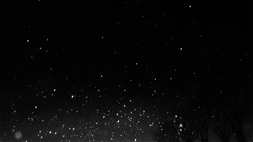 Archillect ID 373362