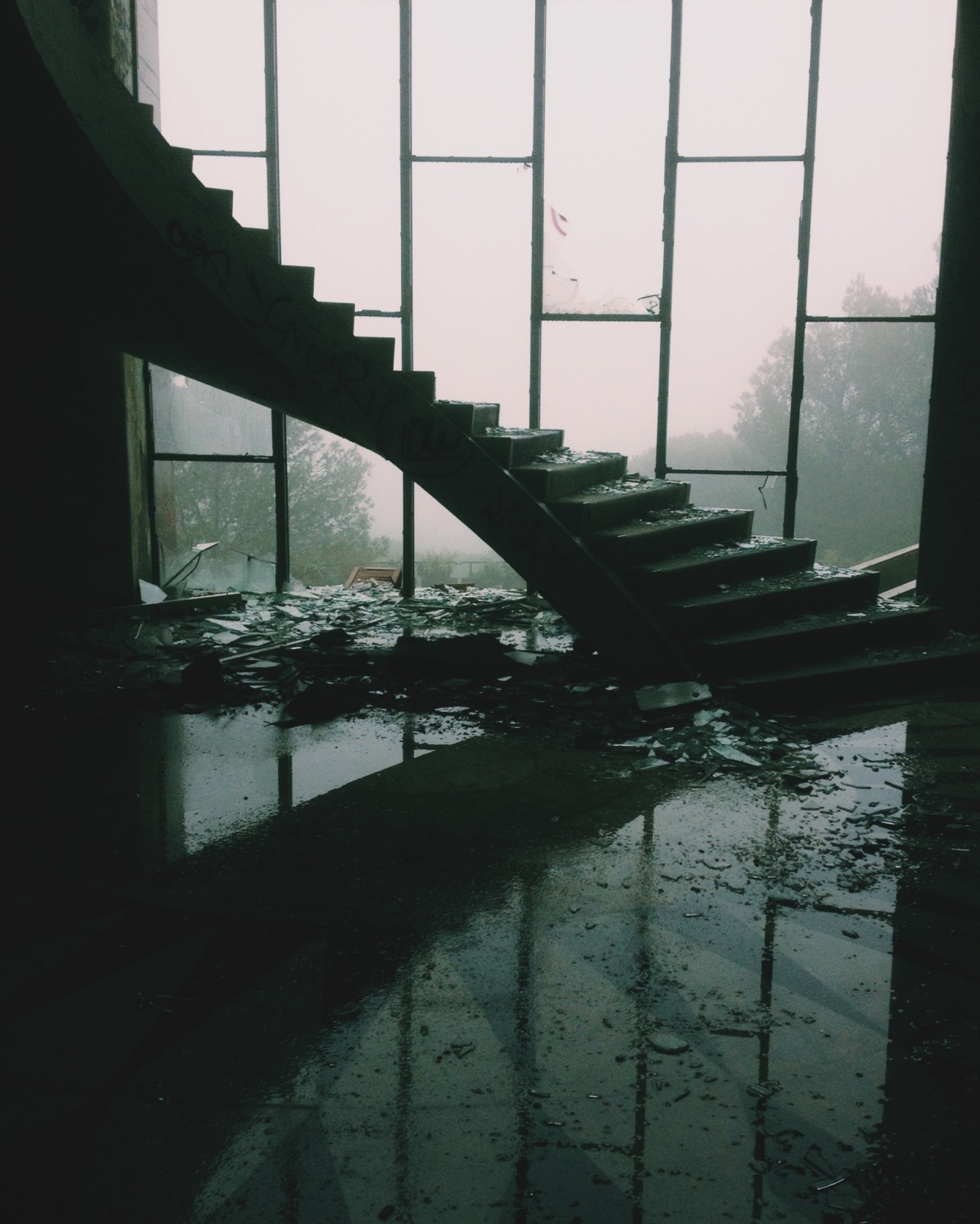 Archillect ID 373396