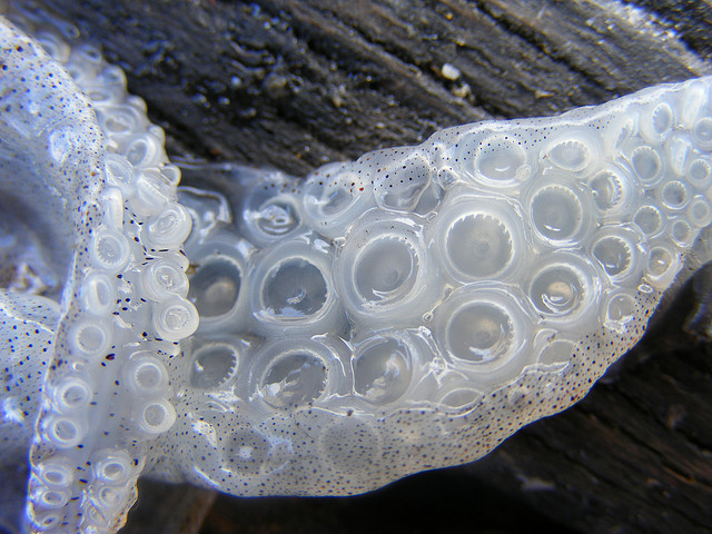 Archillect ID 373429