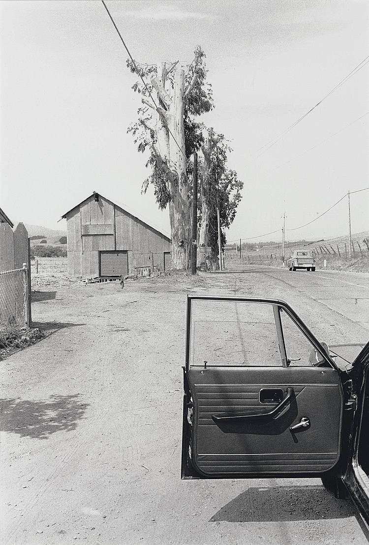 Archillect ID 373447