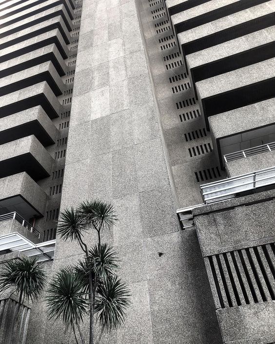 Archillect ID 373449