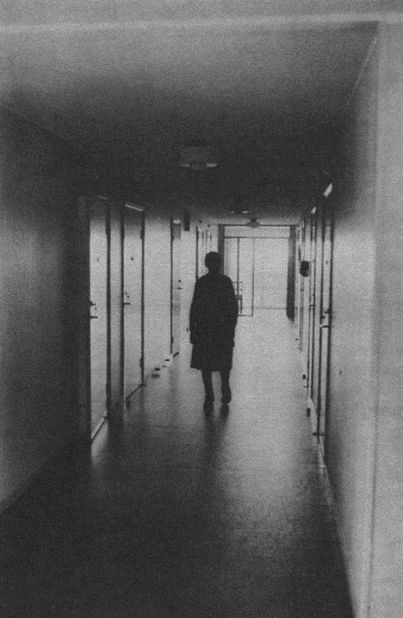 Archillect ID 373494