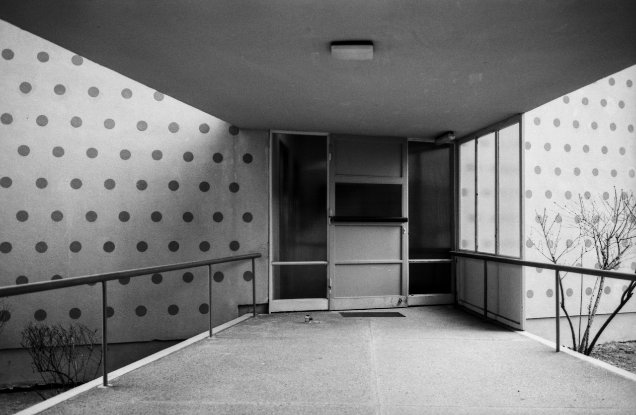 Archillect ID 373513