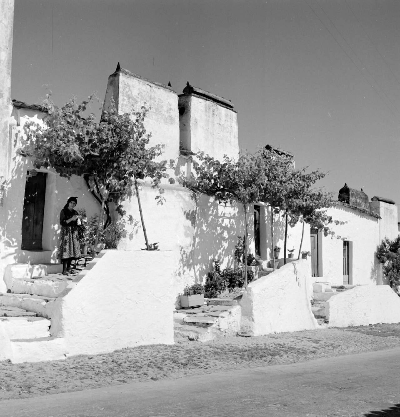 Archillect ID 373517