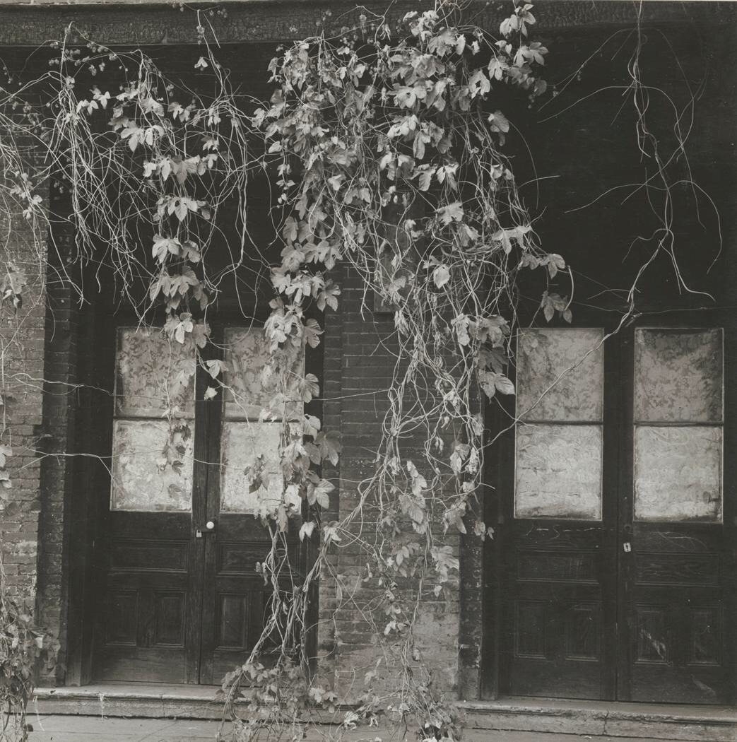 Archillect ID 373537