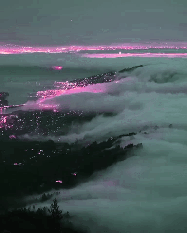 Archillect ID 373566