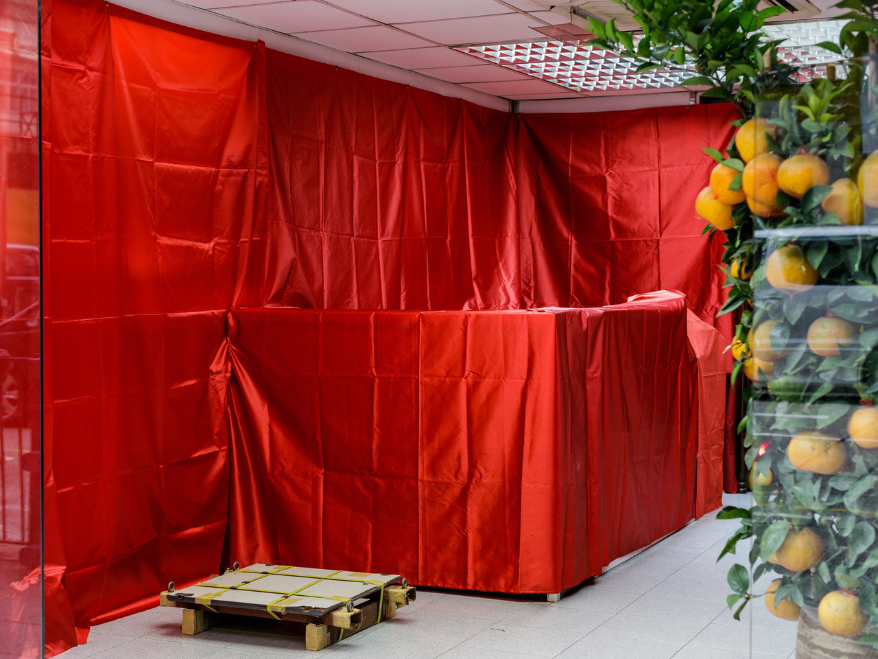 Archillect ID 373610