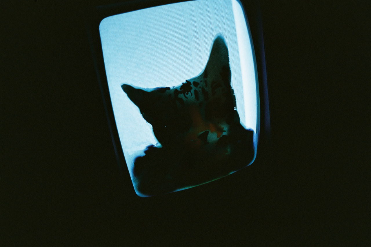 Archillect ID 373673