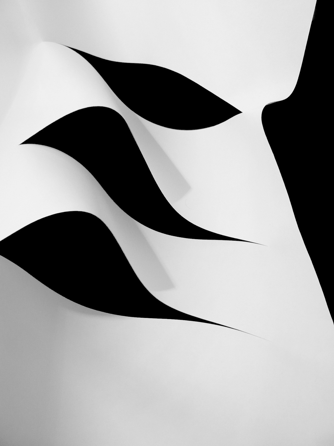 Archillect ID 373726