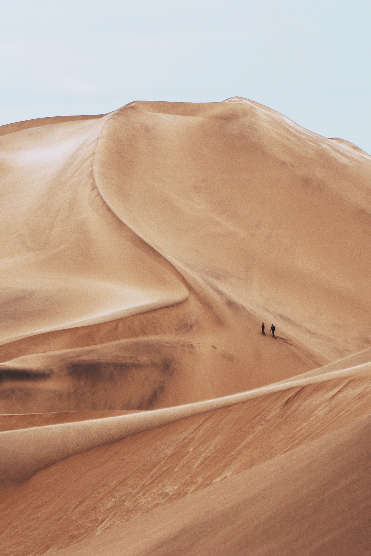 Archillect ID 373730