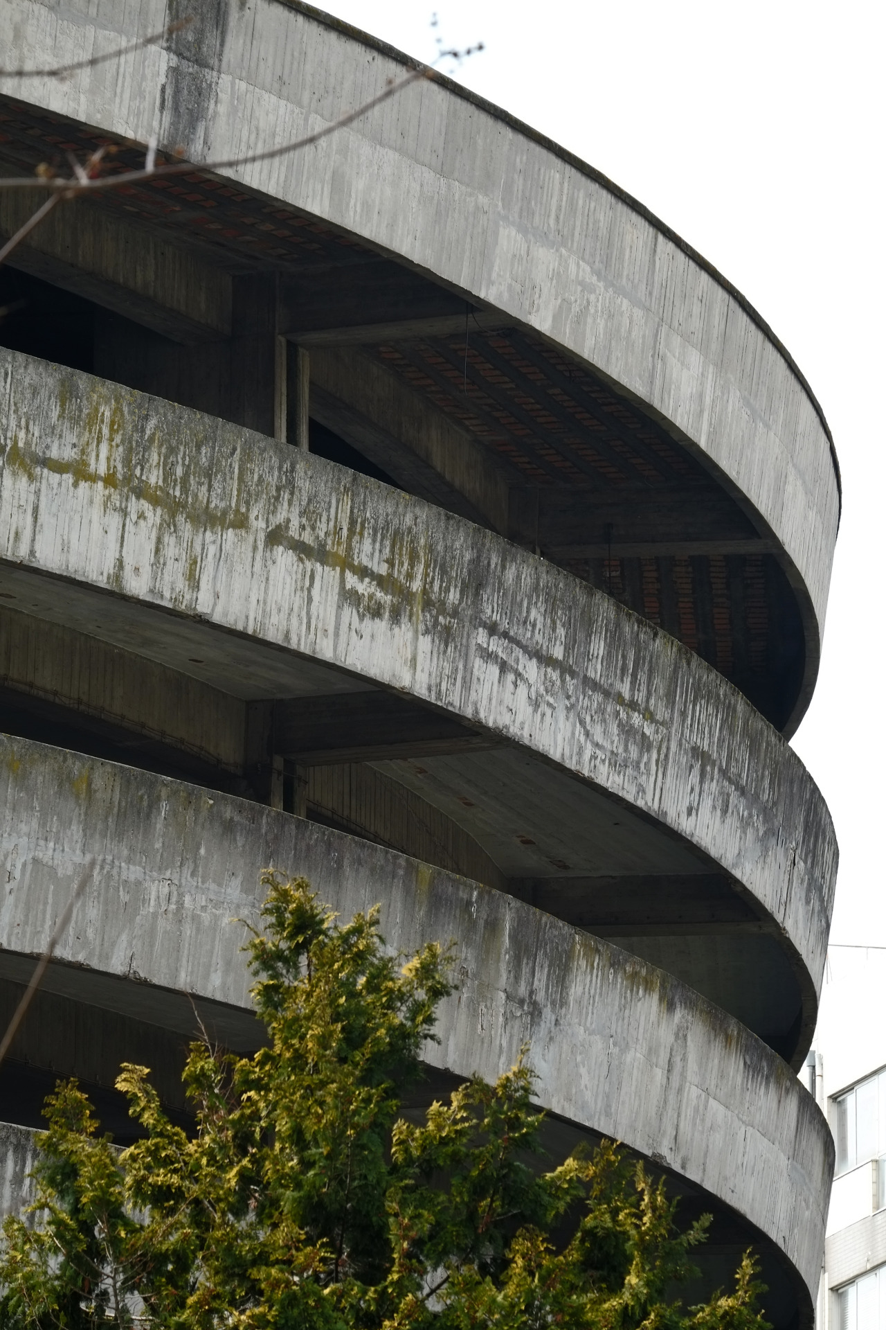 Archillect ID 373731