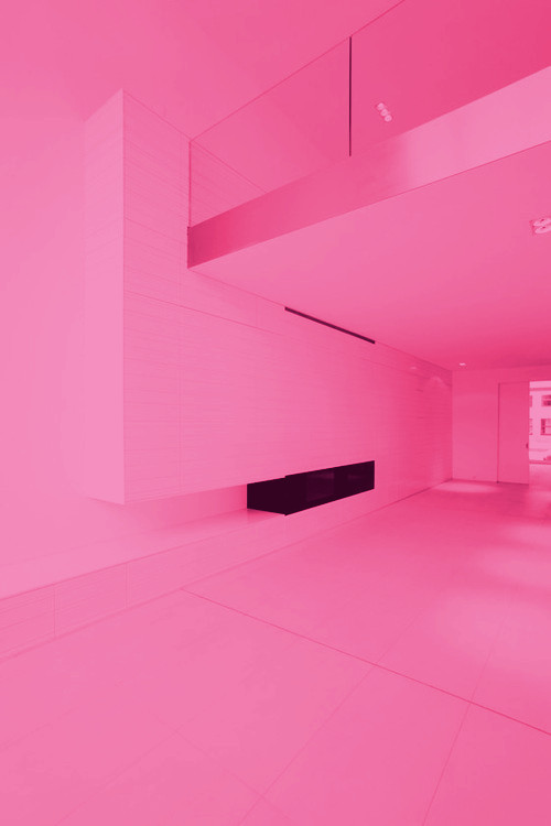 Archillect ID 373737