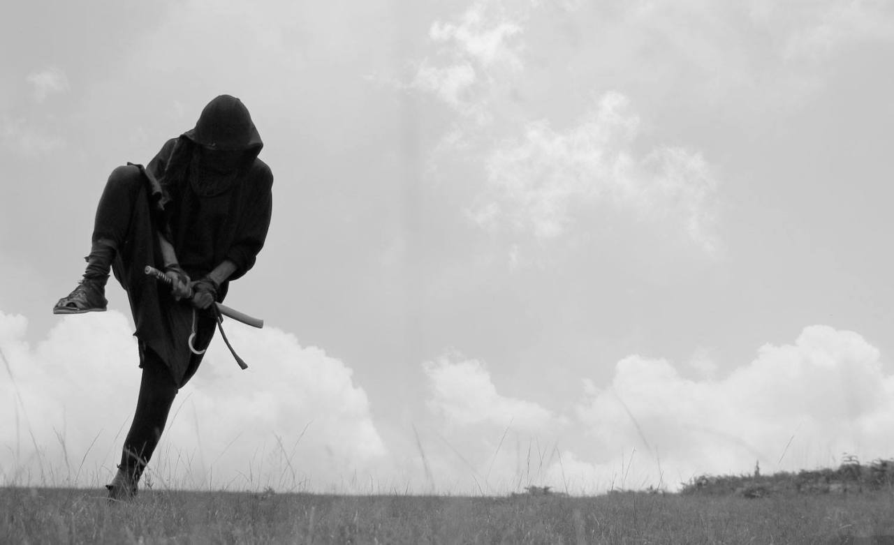 Archillect ID 373761