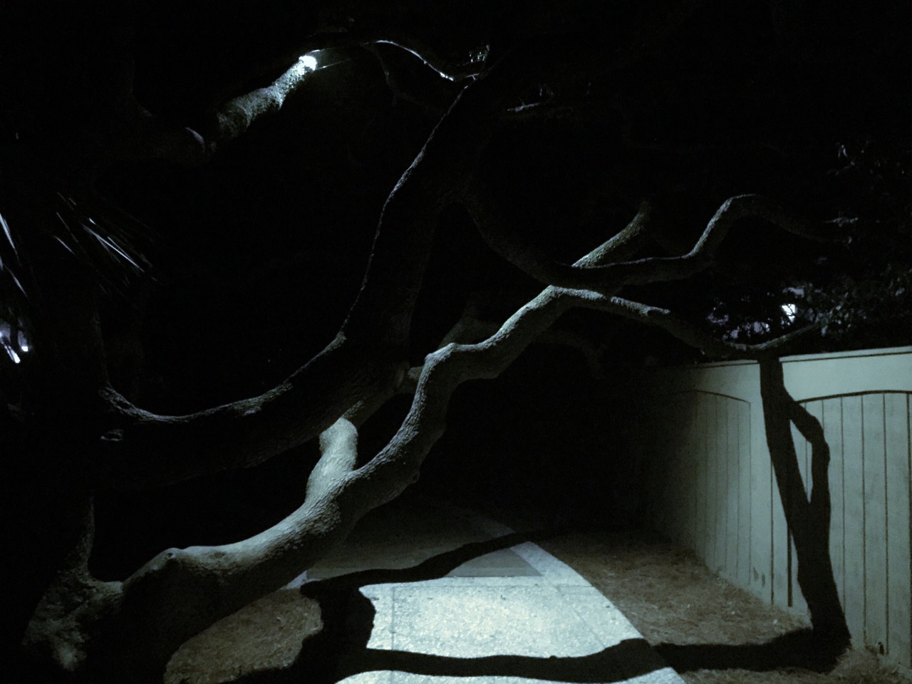 Archillect ID 373784