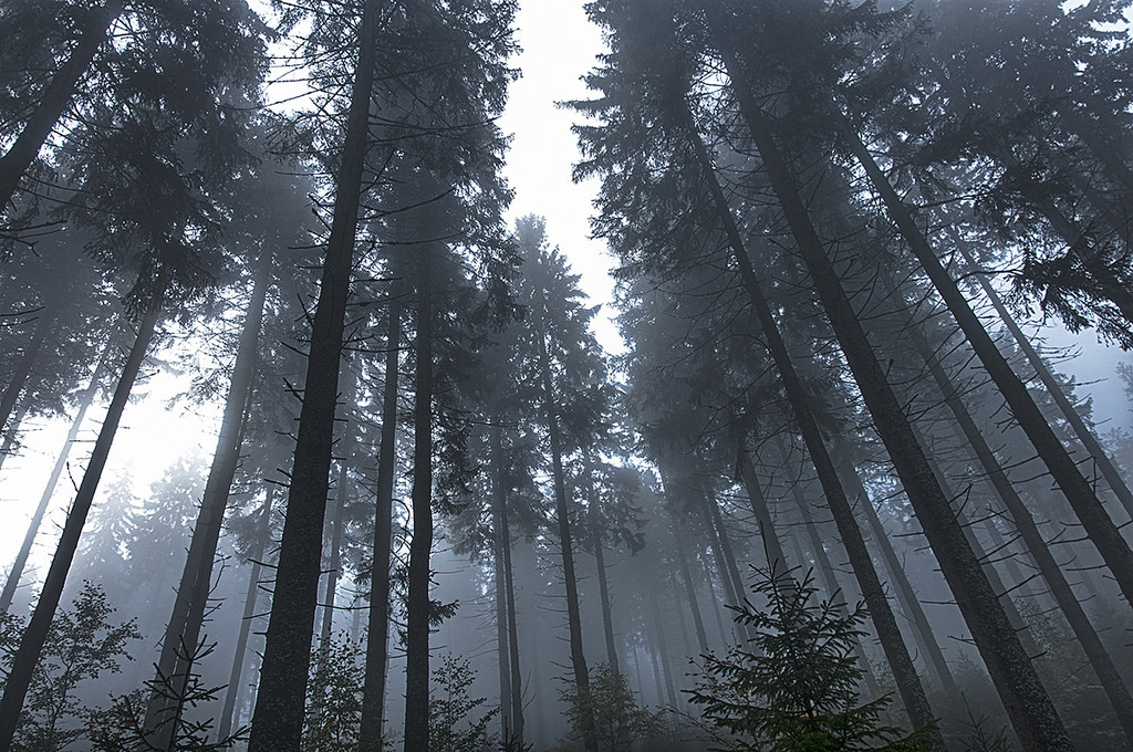 Archillect ID 373819