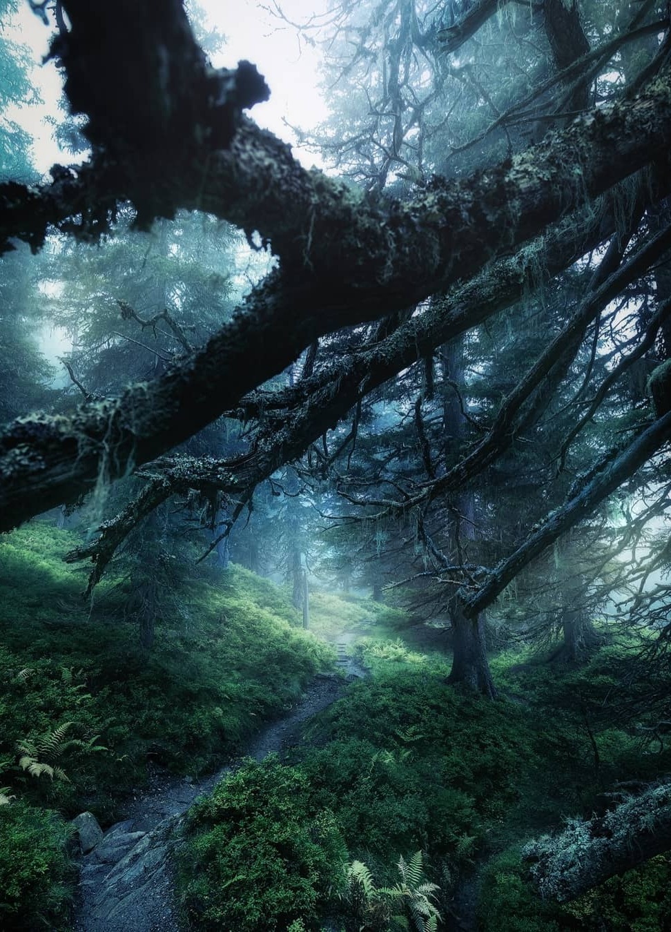 Archillect ID 373829