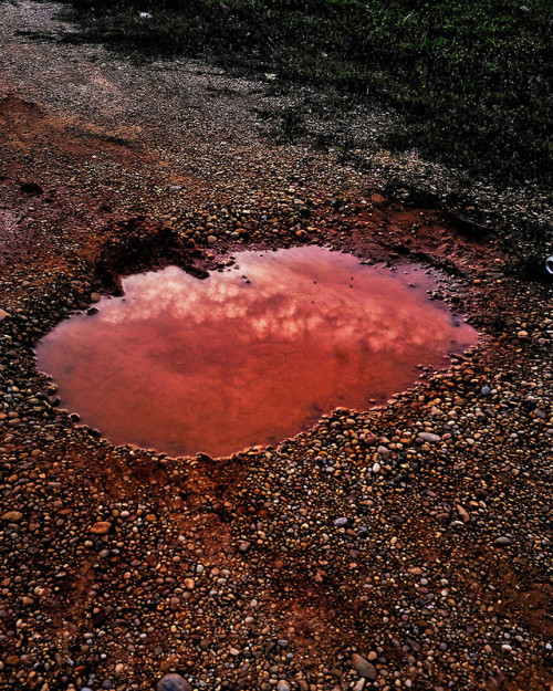 Archillect ID 373838