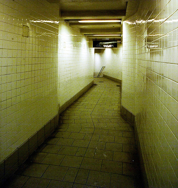 Archillect ID 373852