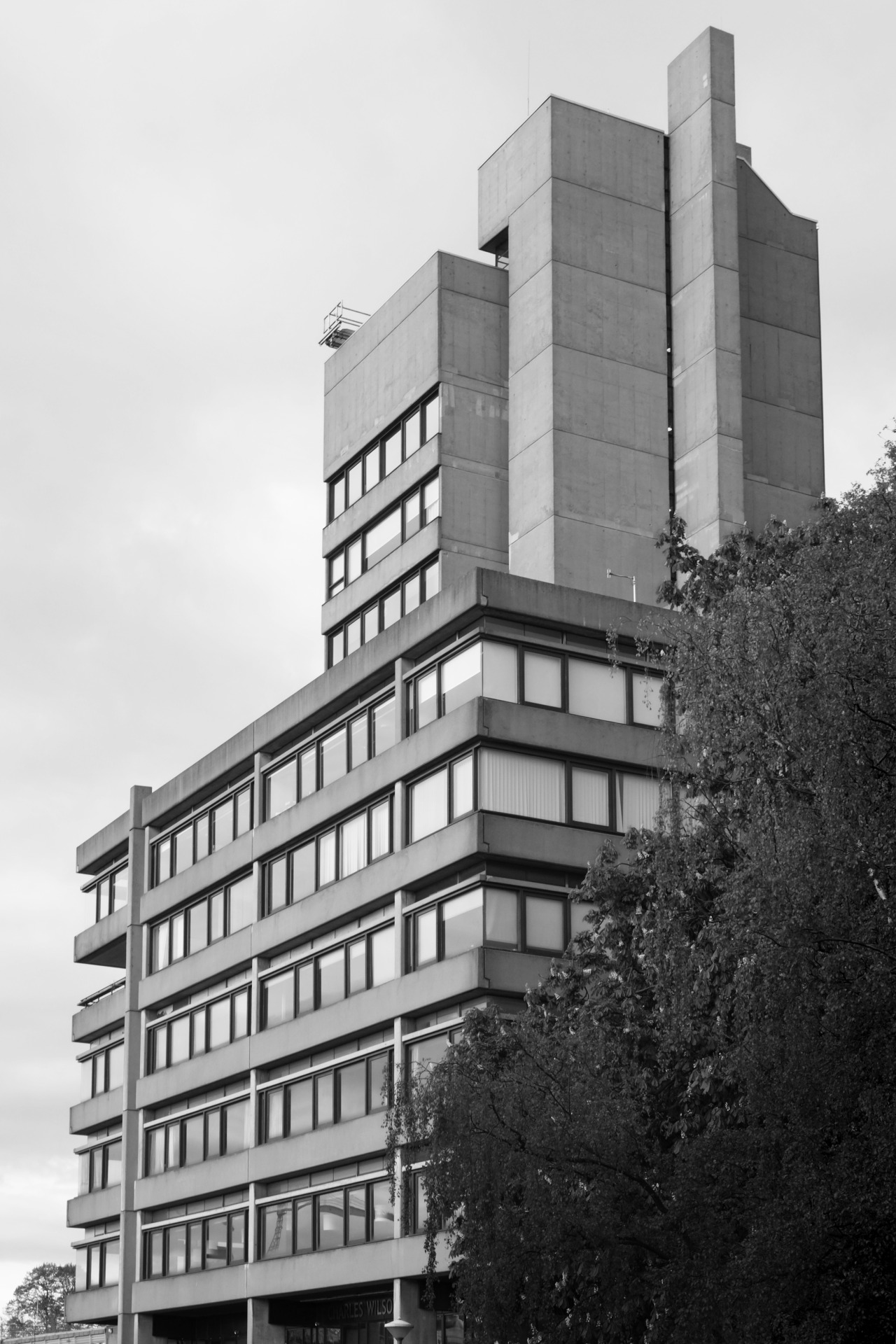 Archillect ID 373864