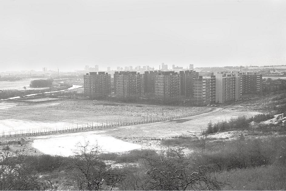 Archillect ID 373883