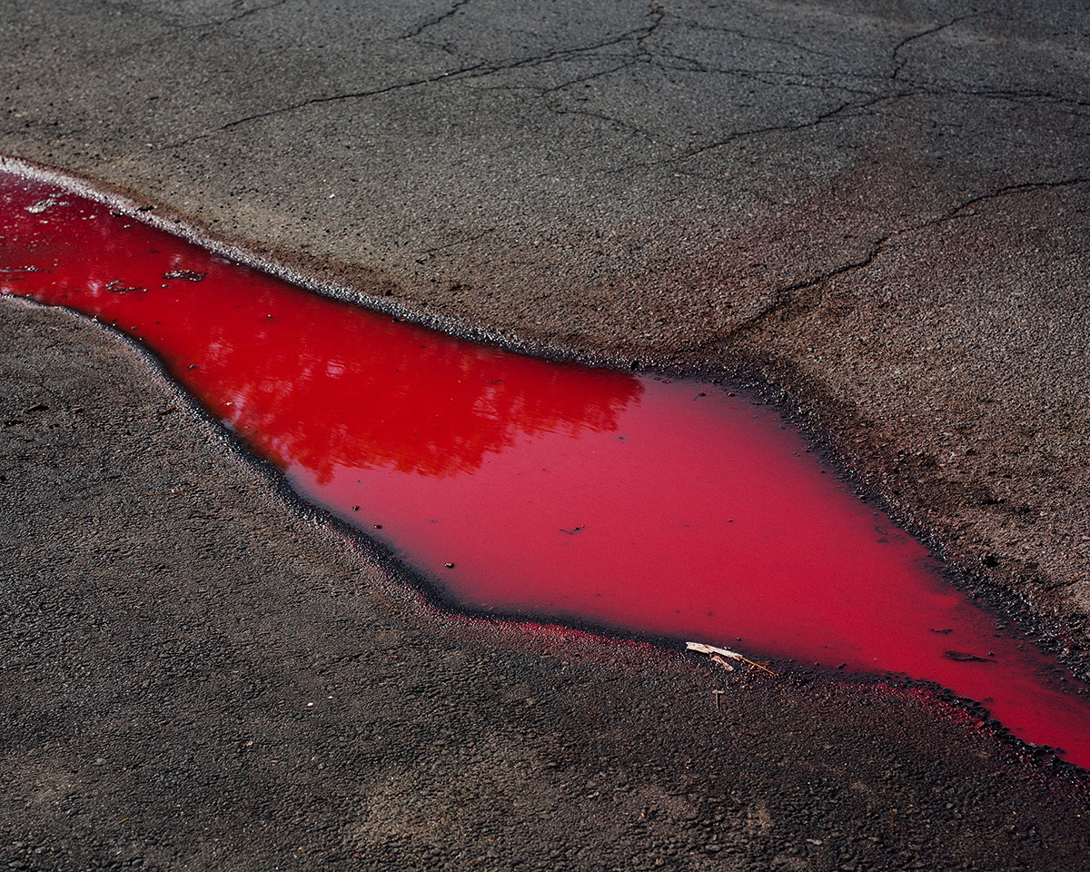 Archillect ID 373926