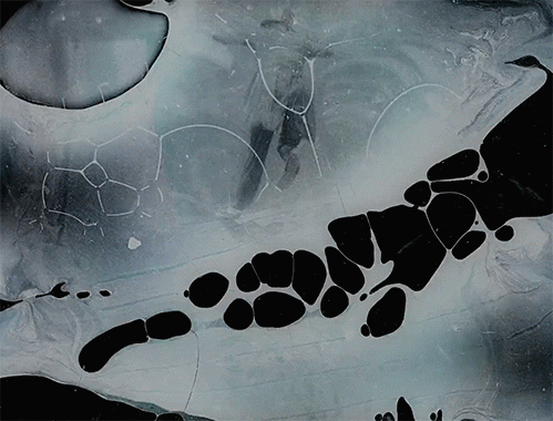 Archillect ID 373932